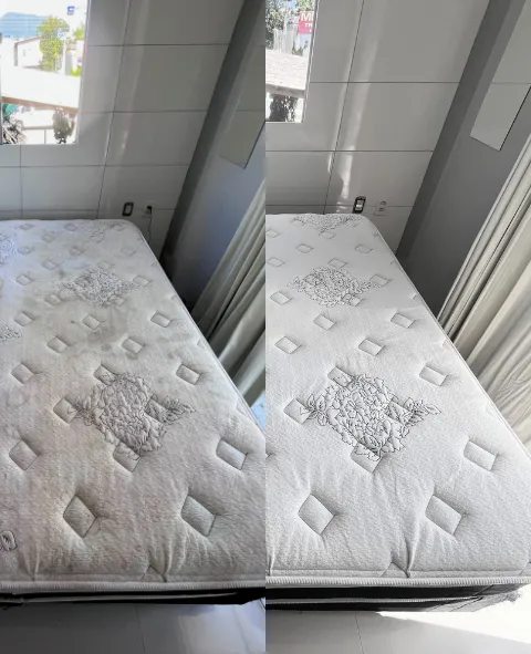 rc-higienizacao-antes-depois-480_591 (8)